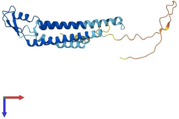 GJB4 Protein (AA 1-266) (His tag)
