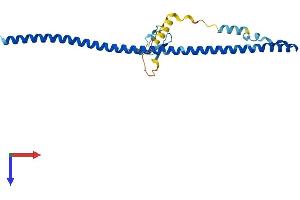 ZC4H2 Protein (AA 1-224) (His tag)