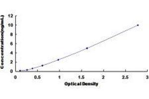 ELISA image for Caudal Type Homeobox 2 (CDX2) ELISA Kit (ABIN418071)