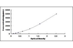 Typical standard curve (MMP15 ELISA Kit)