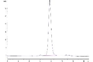Size-exclusion chromatography-High Pressure Liquid Chromatography (SEC-HPLC) image for Leukocyte Immunoglobulin-Like Receptor, Subfamily A (With TM Domain), Member 5 (LILRA5) (AA 42-268) protein (His-Avi Tag,Biotin) (ABIN7275182)