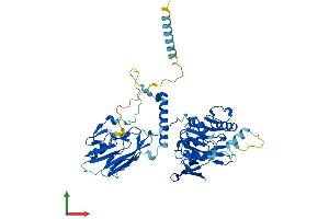 AlphaFold protein structure predicition of Human Recombinant B4GALNT1 Protein, UniprotID Q00973