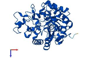 PTER Protein (AA 1-349) (His tag)