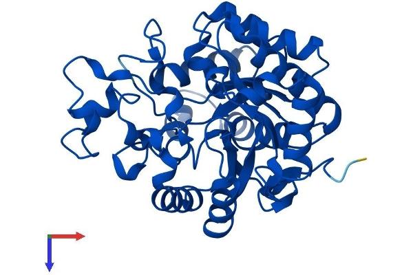 PTER Protein (AA 1-349) (His tag)