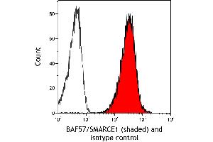 Flow Cytometry (FACS) image for anti-SWI/SNF Related, Matrix Associated, Actin Dependent Regulator of Chromatin, Subfamily E, Member 1 (SMARCE1) (C-Term) antibody (ABIN7795731)