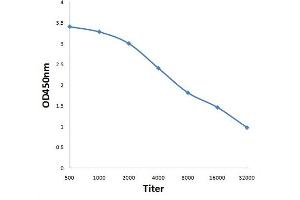 Antigen: 0. (MAS1L Antikörper  (AA 201-300))