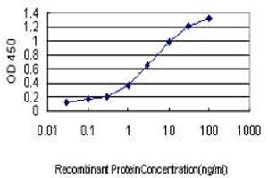 Detection limit for recombinant GST tagged PUM2 is approximately 0. (PUM2 Antikörper  (AA 701-798))