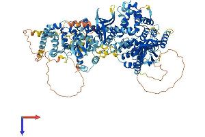TBC1D8 Protein (AA 1-1140) (His tag)