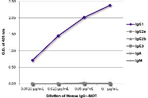 ELISA plate was coated with Goat Anti-Mouse IgG1, Human ads-UNLB and quantified. (Maus IgG1 isotype control (Biotin))