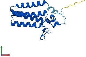 ORMDL2 Protein (AA 1-153) (His tag)