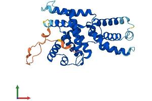 Protein Structure (PS) image for Cyclin H (CCNH) (AA 1-323) protein (His tag) (ABIN7557706)