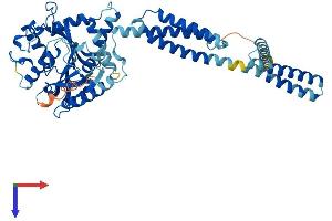 ATL3 Protein (AA 1-541) (His tag)