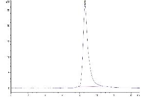 The purity of Human Nectin-4 IgV Domain is greater than 95 % as determined by SEC-HPLC. (PVRL4 Protein (AA 32-146) (His-Avi Tag))