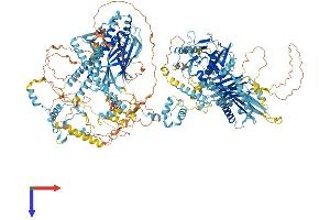 AlphaFold protein structure predicition of Mouse Recombinant Cc2d2a Protein, UniprotID Q8CFW7