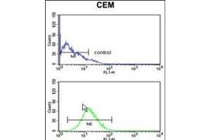 Flow Cytometry (FACS) image for anti-G Patch Domain and Ankyrin Repeats 1 (GPANK1) (AA 275-302), (C-Term) antibody (ABIN652667)