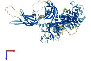 RASA3 Protein (AA 1-834) (His tag)