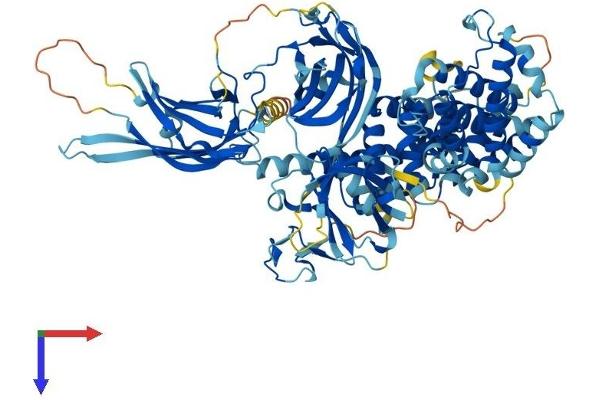 RASA3 Protein (AA 1-834) (His tag)