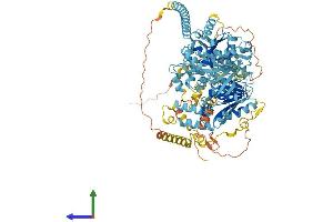 Protein Structure (PS) image for Chromodomain Helicase DNA Binding Protein 1-Like (CHD1L) (AA 1-897) protein (His tag) (ABIN7553368)