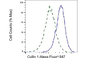 Validation of Cullin 1 knockdown using flow cytometry. (Rekombinanter Cullin 1 Antikörper)