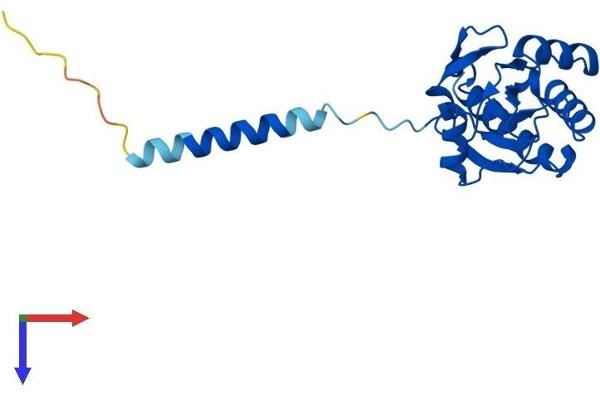 GPX8 Protein (AA 1-209) (His tag)