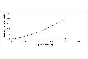 Typical standard curve (ABCA7 ELISA Kit)