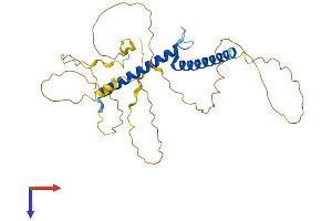 OLIG2 Protein (AA 1-323) (His tag)