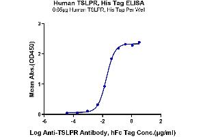 Immobilized Human TSLPR, His Tag at 0. (CRLF2 Protein (AA 25-231) (His tag))