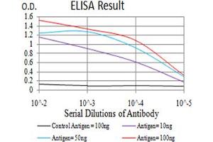 Fig. (EIF5 Antikörper  (AA 1-300))