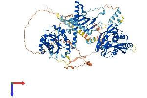 CHSY3 Protein (AA 1-882) (His tag)