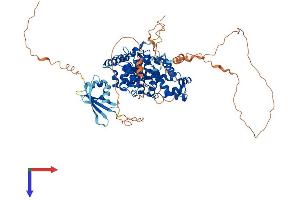 TBC1D25 Protein (AA 1-688) (His tag)