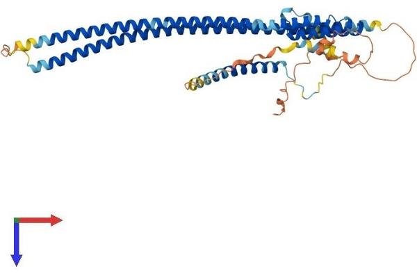 RILPL1 Protein (AA 1-403) (His tag)