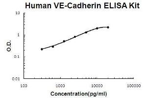 Human VE-Cadherin/CD144 PicoKine ELISA Kit standard curve