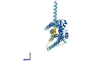 Protein Structure (PS) image for Succinate Receptor 1 (SUCNR1) (AA 1-334) protein (His tag) (ABIN7544043)