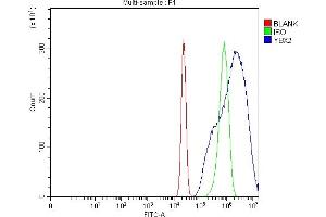 Flow Cytometry analysis of U20S cells using anti-MSY2/YBOX2/YBX2 antibody (ABIN7600636).