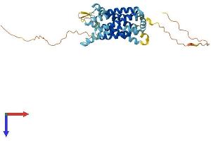CCRL2 Protein (AA 1-360) (His tag)