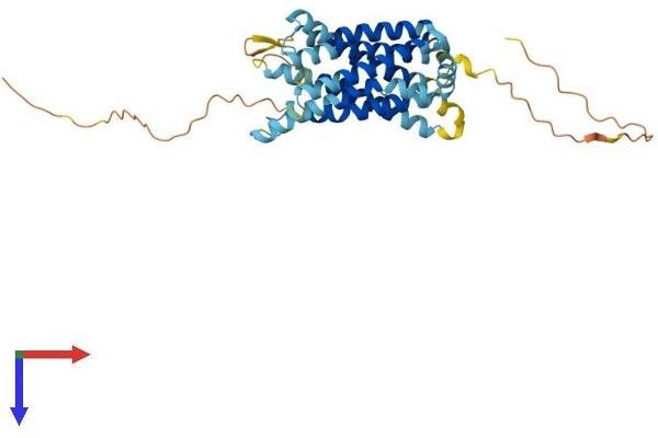 CCRL2 Protein (AA 1-360) (His tag)