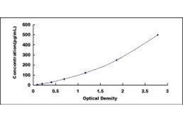 TGFB3 ELISA Kit