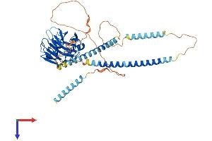 NPTXR Protein (AA 1-500) (His tag)