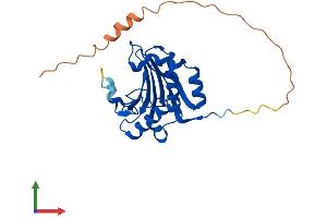 Protein Structure (PS) image for Eukaryotic Translation Initiation Factor 4E Family Member 1B (EIF4E1B) (AA 1-242) protein (His tag) (ABIN7548383)