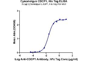 Immobilized Cynomolgus CDCP1 at 2 μg/mL (100 μL/Well) on the plate. (CDCP1 Protein (His tag))