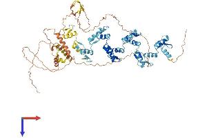 ZNF175 Protein (AA 1-711) (His tag)