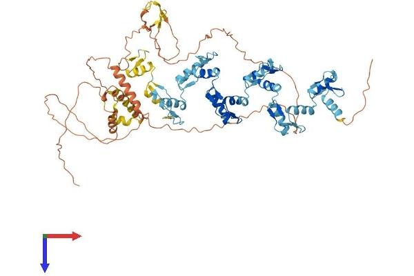 ZNF175 Protein (AA 1-711) (His tag)