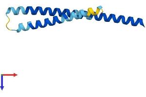 AlphaFold protein structure predicition of Mouse Recombinant Ccdc167 Protein, UniprotID Q9D162