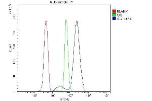 Flow Cytometry analysis of U937 cells using anti-OGT antibody (ABIN3043893).