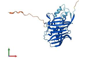 Protein Structure (PS) image for Acyl-CoA Thioesterase 8 (ACOT8) (AA 1-319) protein (His tag) (ABIN7551972)
