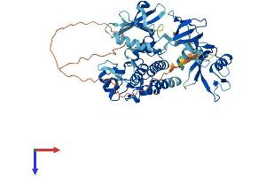 TXK Protein (AA 1-527) (His tag)