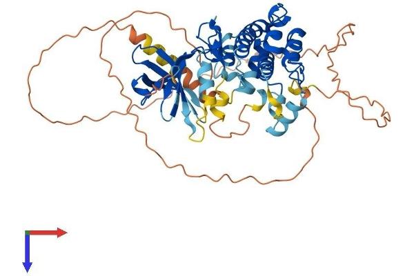 CAMK1G Protein (AA 1-476) (His tag)