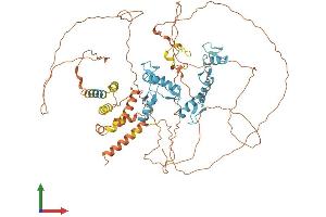 Protein Structure (PS) image for B-Cell CLL/lymphoma 6 (BCL6) (AA 1-707) protein (His tag) (ABIN7563228)