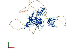 Protein Structure (PS) image for Upstream Binding Protein 1 (LBP-1a) (UBP1) (AA 1-540) protein (His tag) (ABIN7555960)