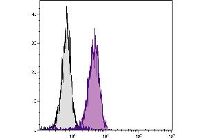 Human T cell leukemia cell line Jurkat was intracellularly stained with Mouse Anti-Human CD107b-SPRD. (LAMP2 Antikörper  (SPRD))